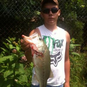 Meet your Posher, Brandyn